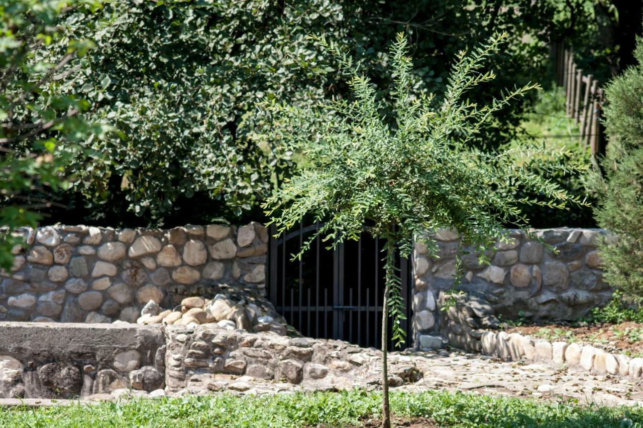 Guesthouse Silvani Kruševac Esterno foto